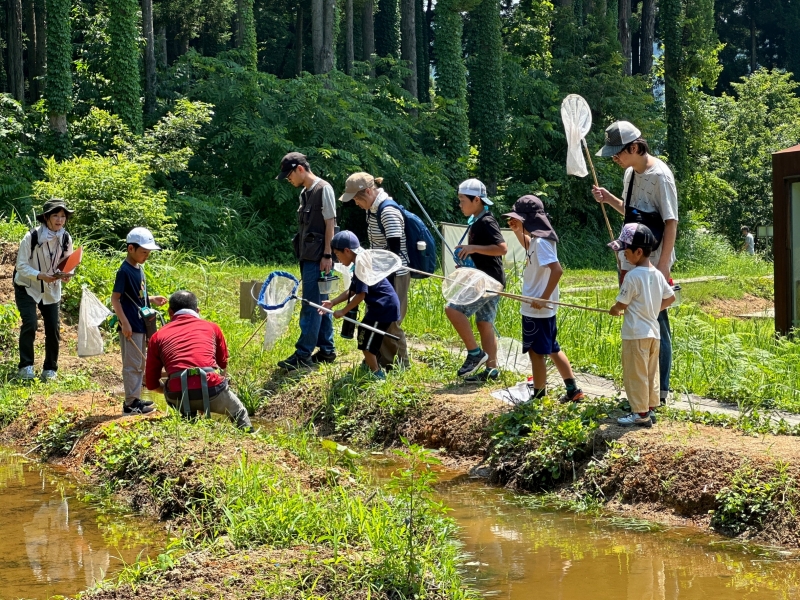  十日町市立里山科学館　越後松之山「森の学校」キョロロ