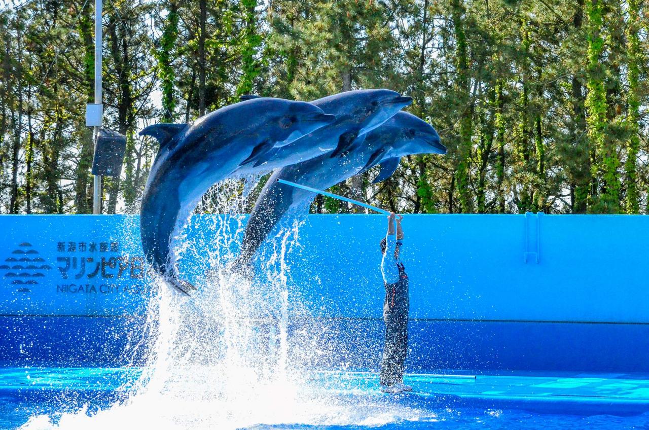 新潟市水族館マリンピア日本海
